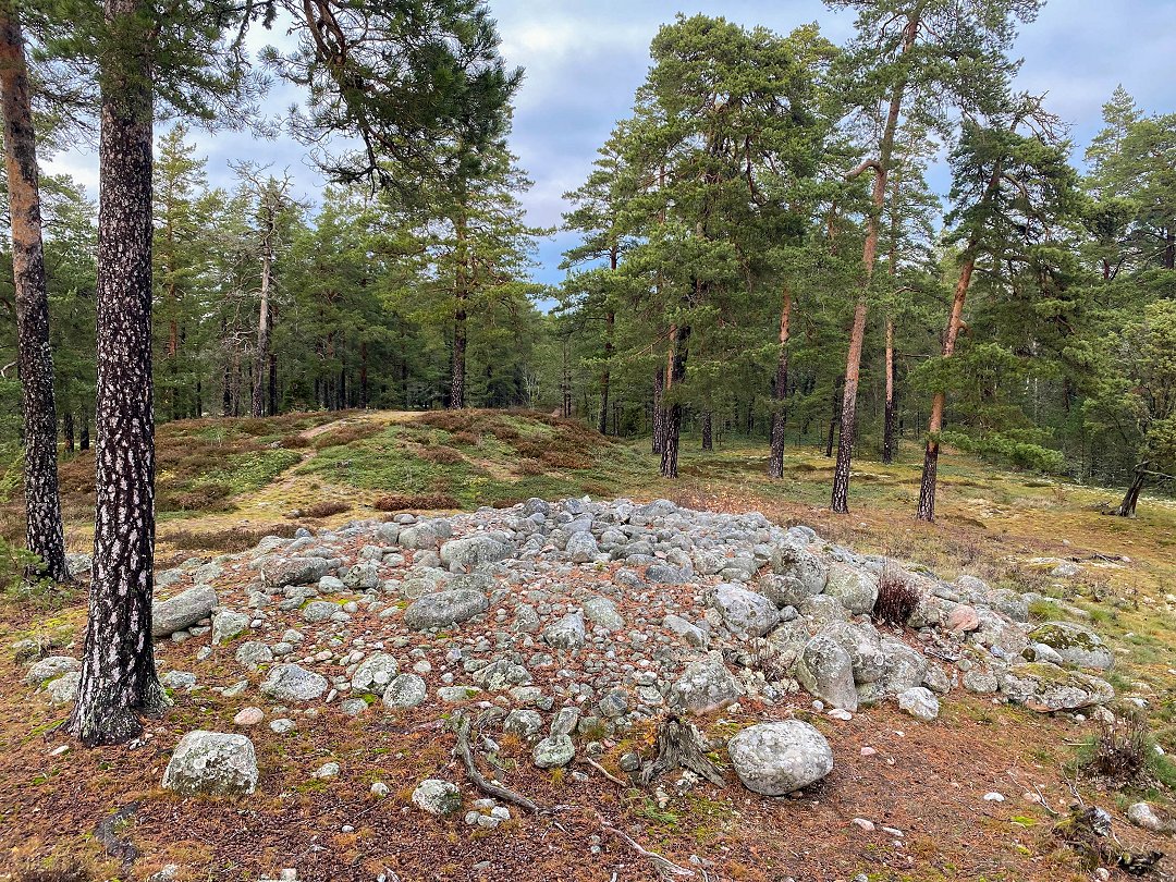 Rösaringsåsens naturreservat, Bro - november 2023 stenar